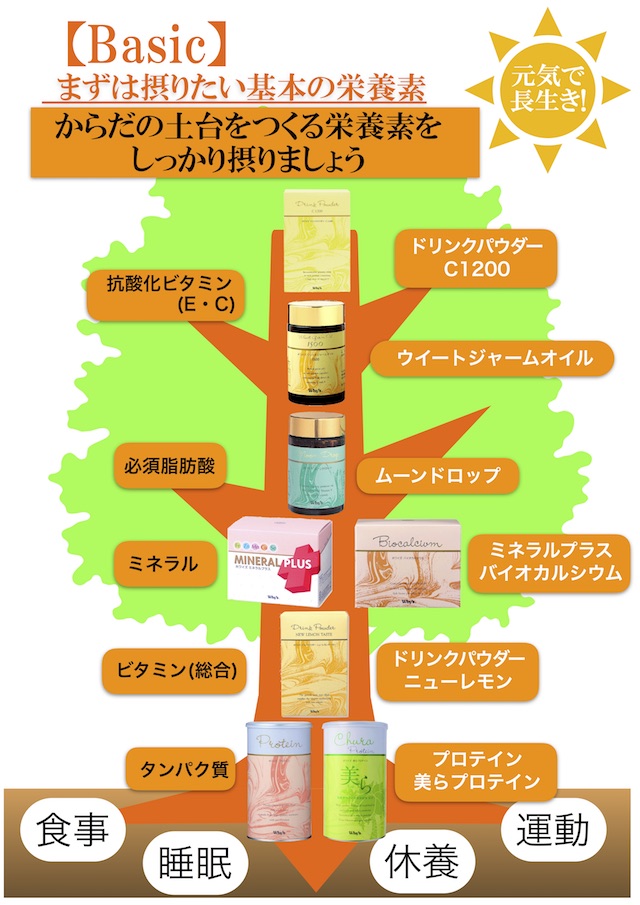 ホワイズの木ベーシック
