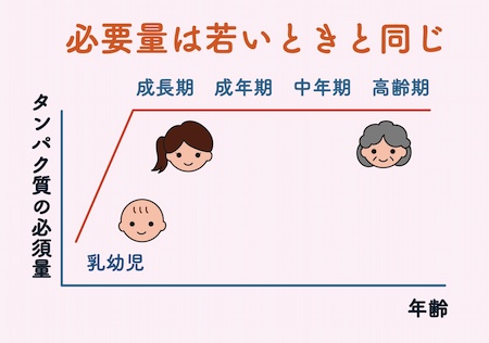 タンパク質グラフ