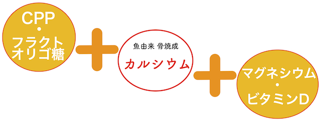 カルシウムと一緒に摂る栄養素