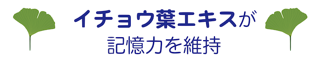 BRM画像5
