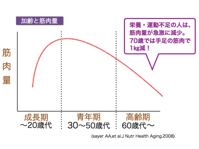 美らプロテイン加齢と筋肉量グラフ
