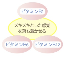ジョイントプロ極ビタミンB1・B6・B12