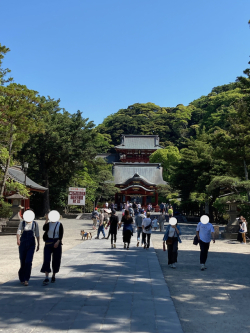 店長日記2023０５０７鶴岡八幡宮