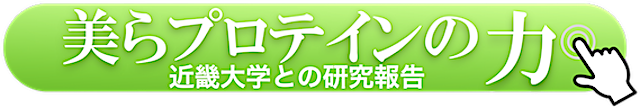 美らプロテインの力バナー5