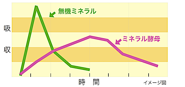 ミネラル吸収グラフ