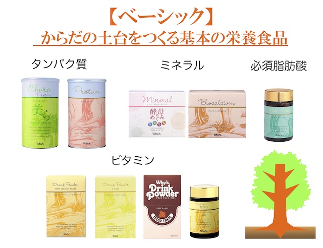 ベーシックトップ画像